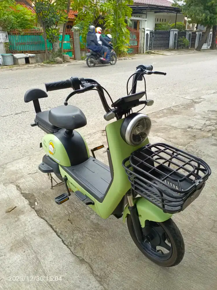 seeda liatrik u-winglay rf-6