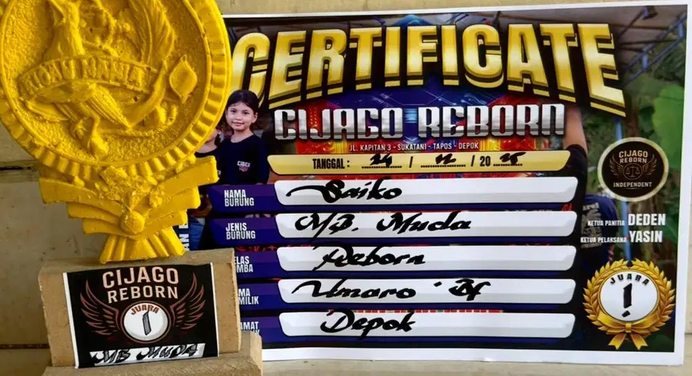 murai batu pastol PRESTASI anget