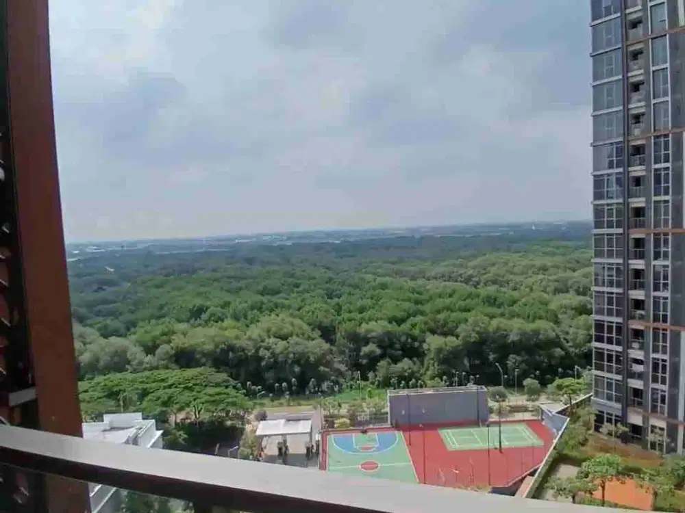 Sewa Apartement Gold Coast Studio View Mangrove