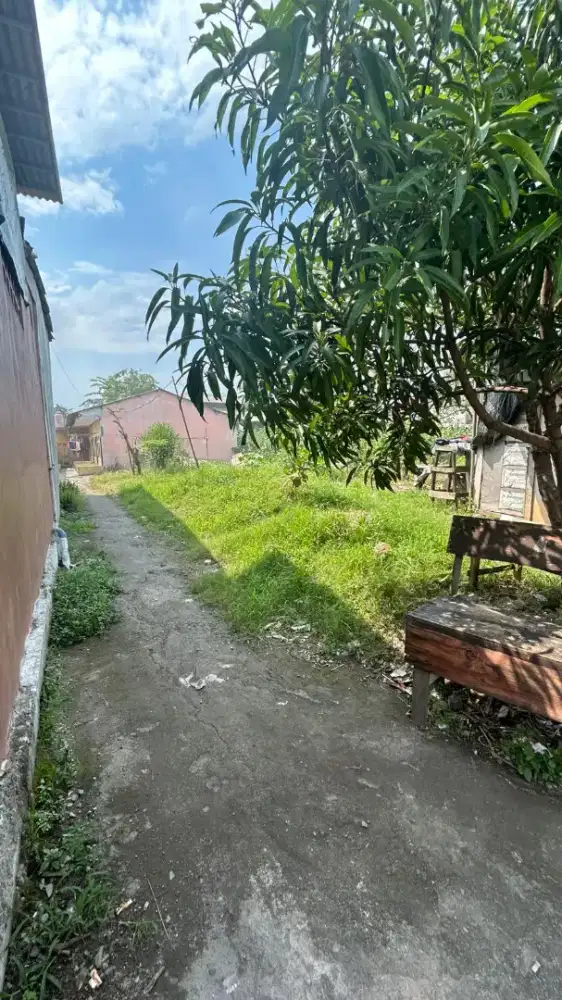 Dijual tanah & Kontrakan petak 4 pintu