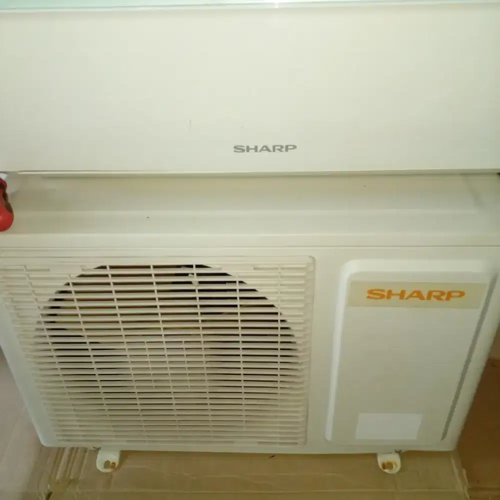 Ac sharp 1/2pk bekas original