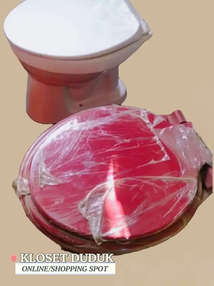 Dijual kloset duduk manual/otomatis