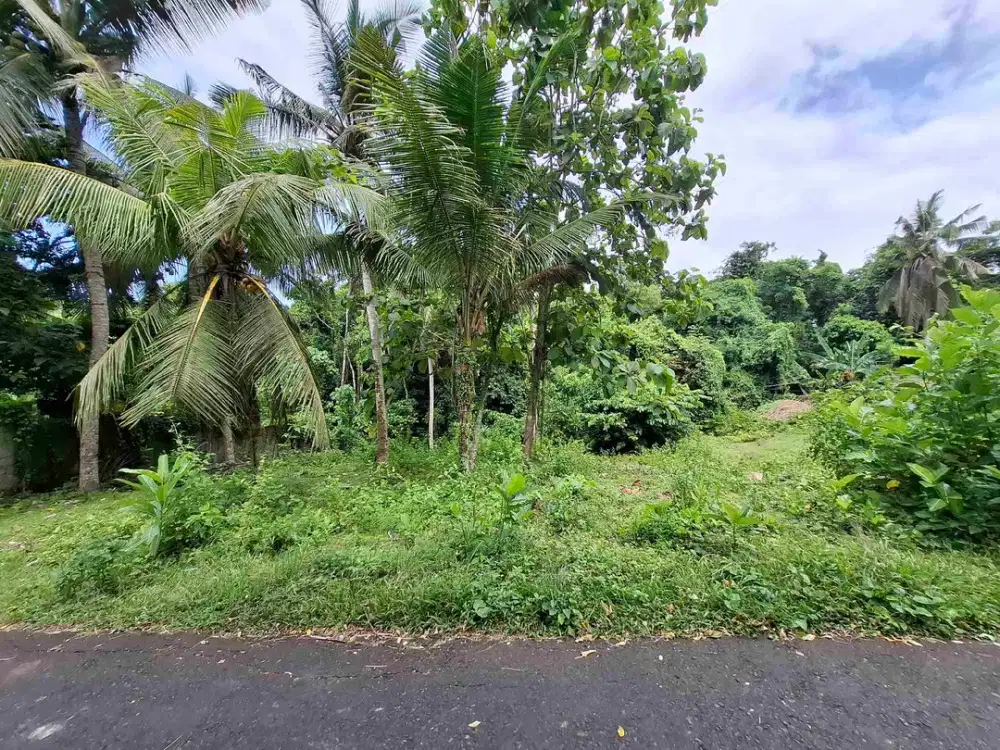 luasan kecil zona kuning atau pemukiman penduduk berada dekat pantai