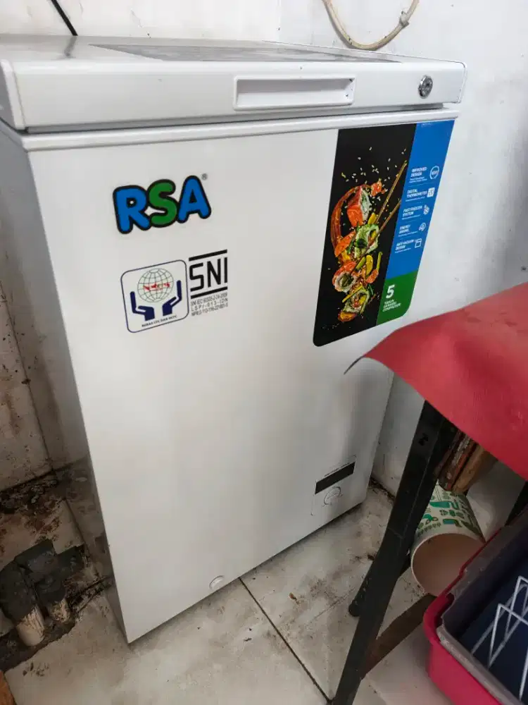 Frezer RSA 100 liter