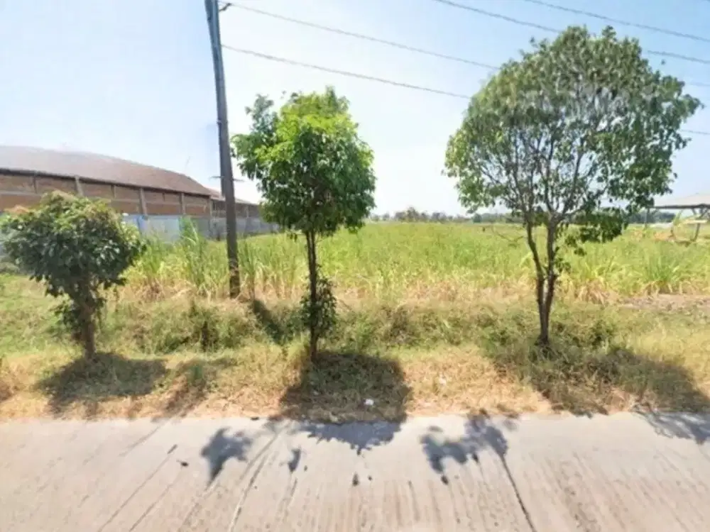 Dijual Tanah Cocok Untuk Industri di Kudus Jalan Pantura Jakarta - Surabaya