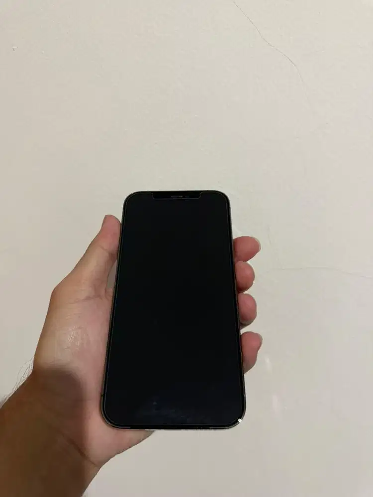 Iphone 12 Pro 256GB (Second)