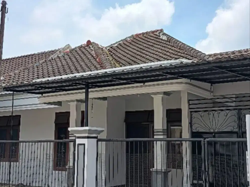 Harga Dibawah Pasar Dijual Rumah Daerah Ikan Ikan Blimbing Malang