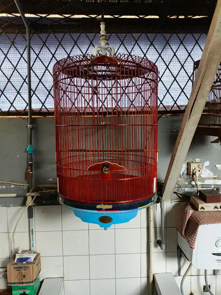 Sangkar murai Batu no 2