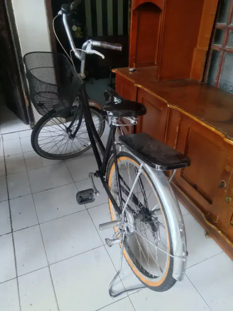 sepeda keranjang dewasa