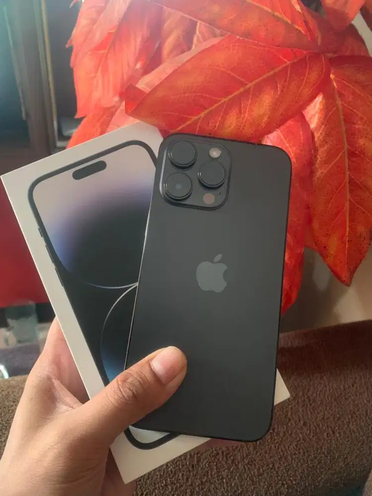 14 Pro Max 256GB ZP/A Beacukai