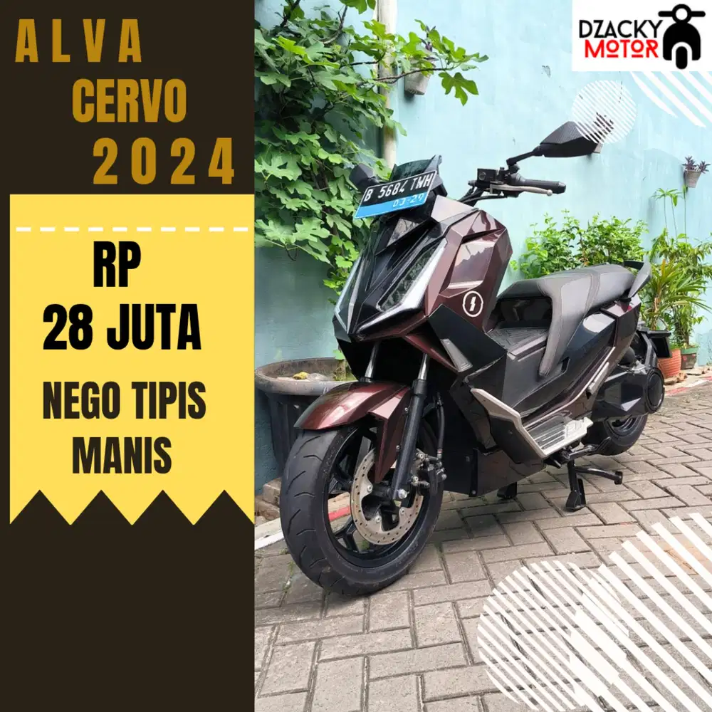 ALVA CERVO 2024 MOLUS SECOND LIKE NEW