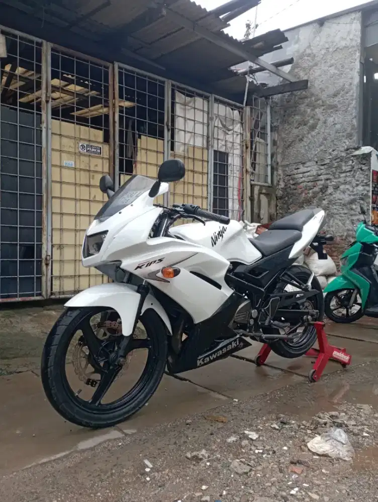 Ninja RR New sE 2012 asli albino Murmer