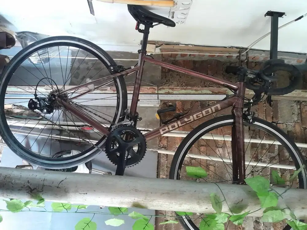 Sepeda polygon jarang dipakee