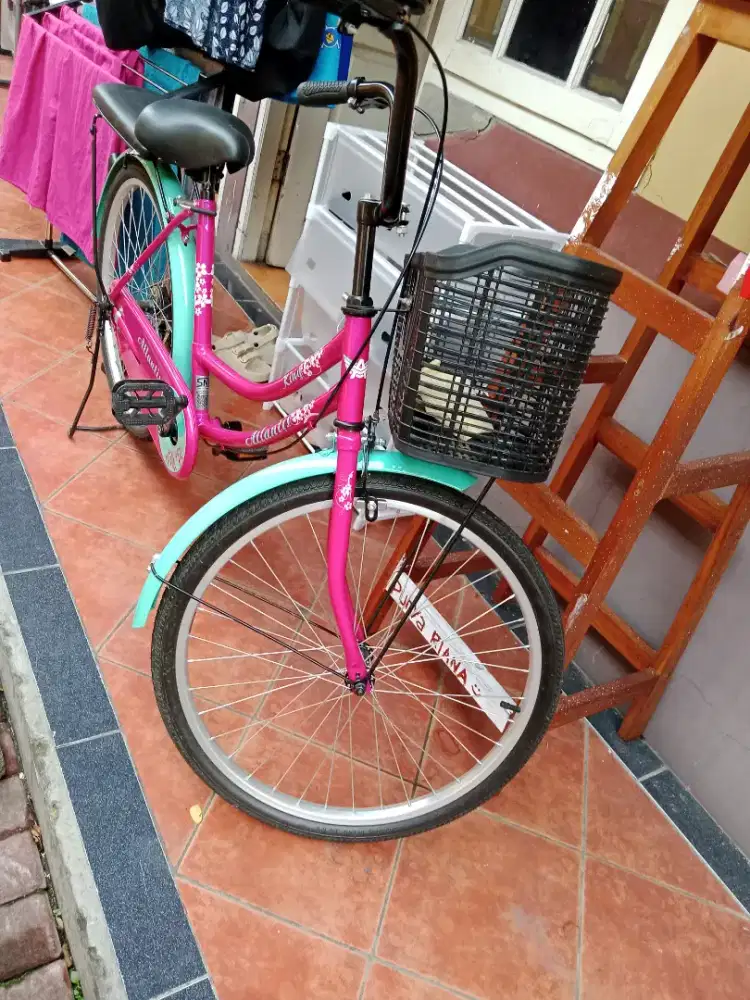 Jual sepeda pemakaian 1 Minggu baru