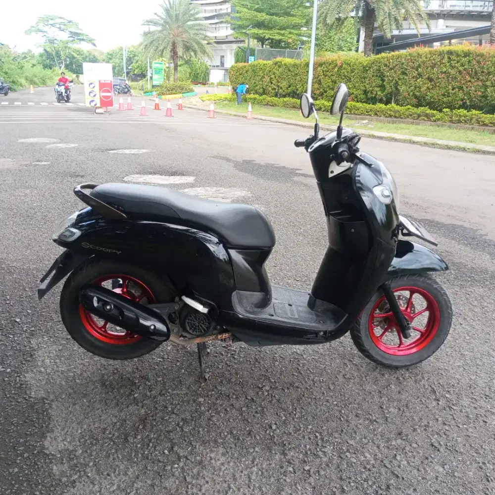 Scoopy 2018.pajak 2024