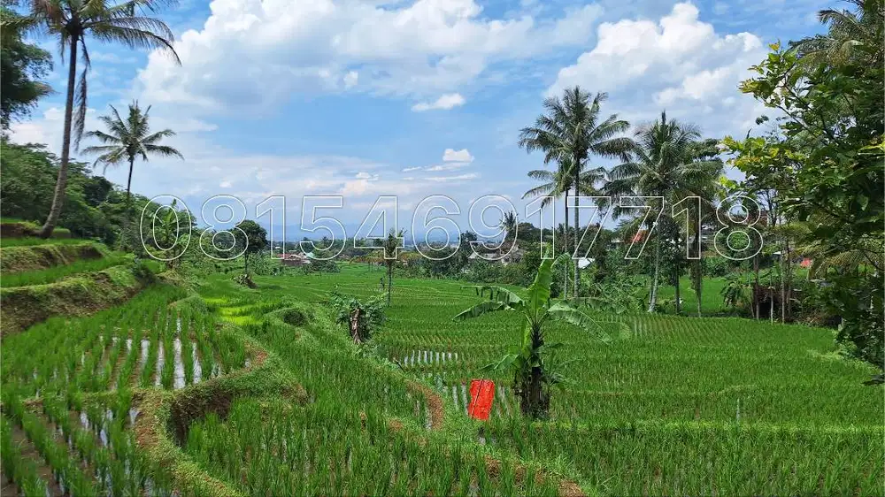 DIJUAL Ruman + Sawah + Balong di Cicalengka