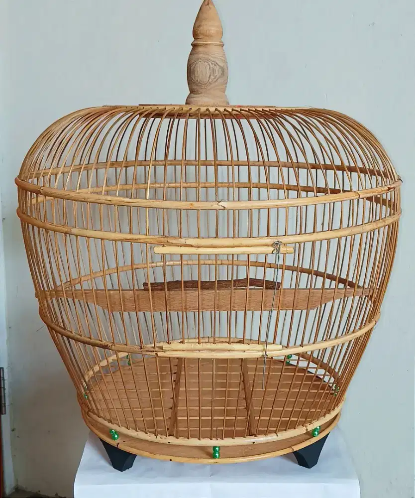 Sangkar Kandang Tekukur Derkuku Puter