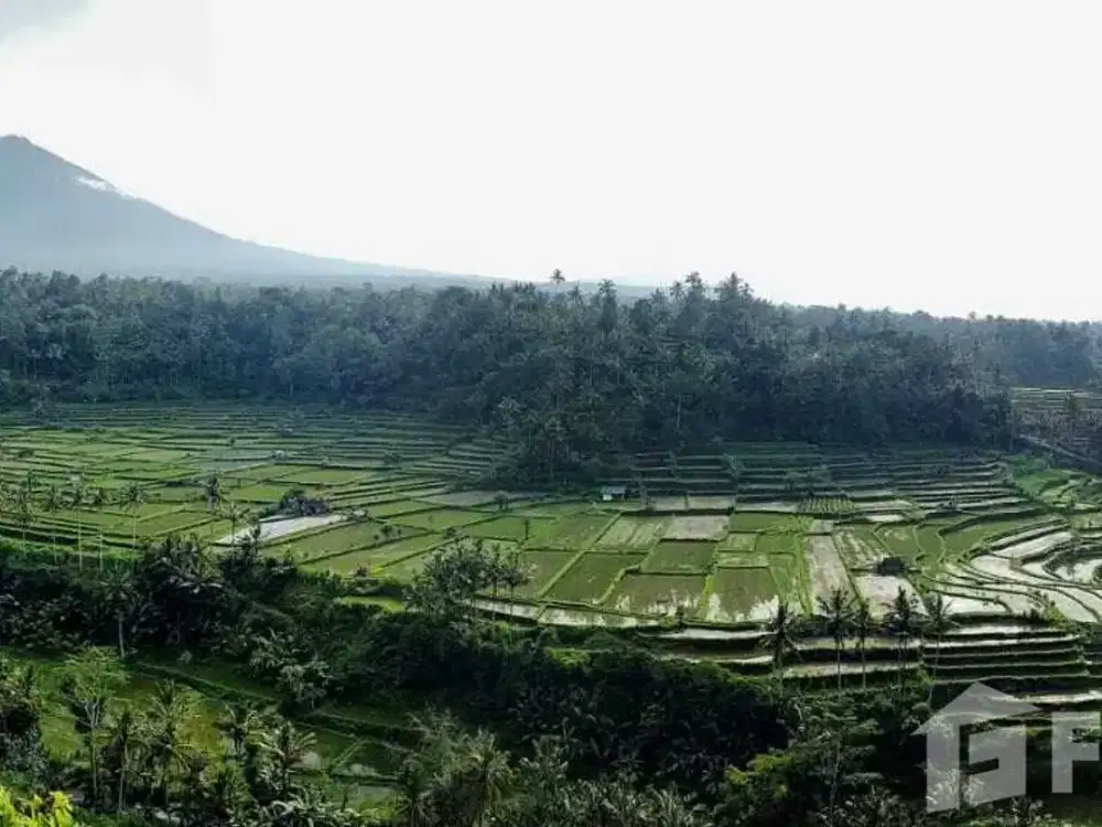 14 Bedroom Hotel for sale in Rendang, Bali