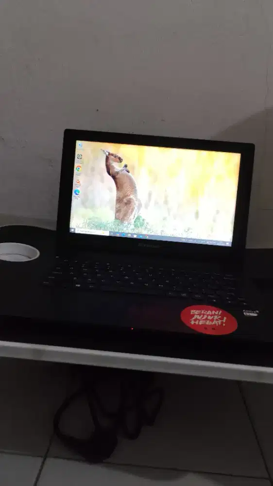 Notebook Lenovo S215 Upgrate SSD & RAM 4GB