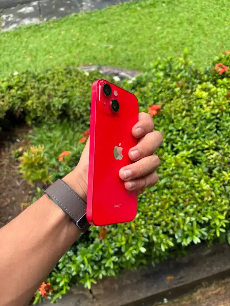 iPhone 14 256gb beacukai