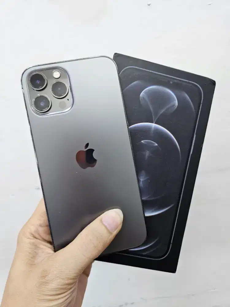 iphone 12 pro max 256gb normal