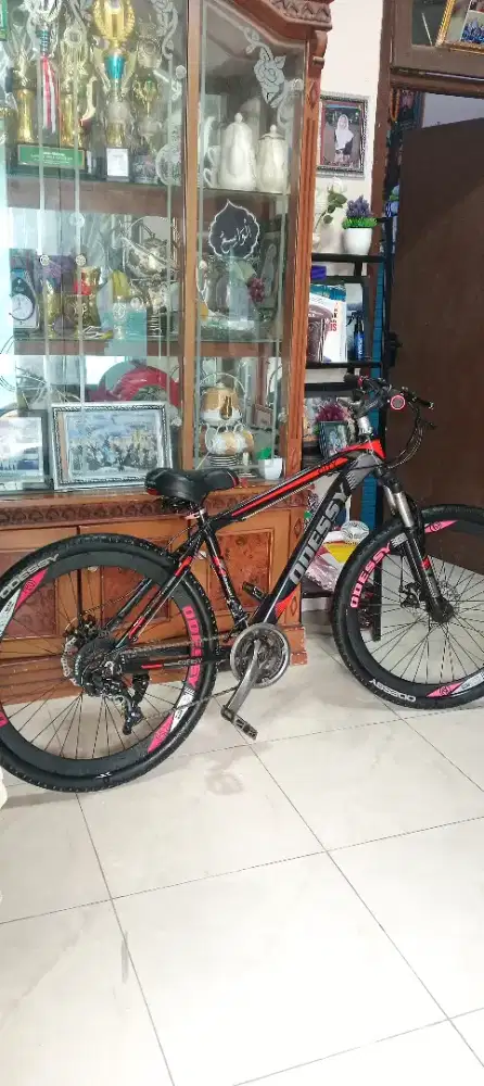 MTB ODESSY 26,5