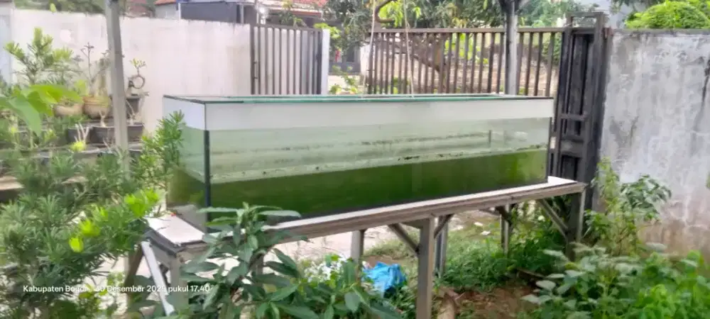 Aquarium besar ( akuarium)