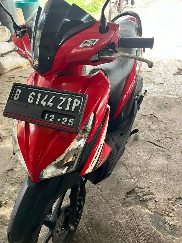 VARIO 110 Agnes 2015