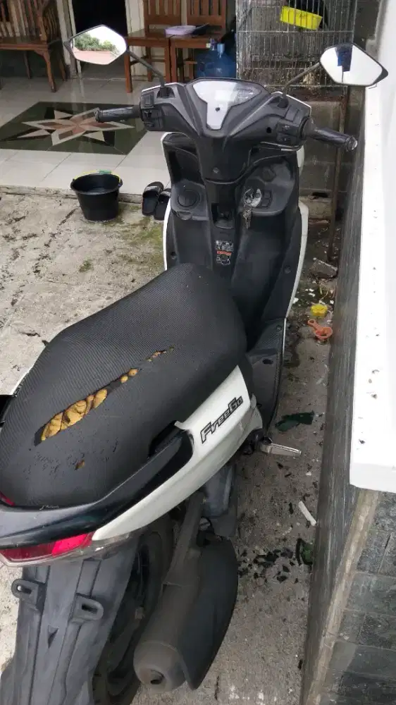 Yamaha freego warna putih