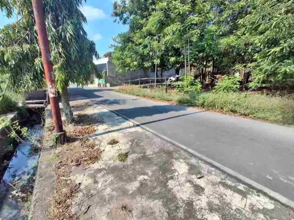 Tanah Blulukan 741Mt, Ld 24Mt, dekat hotel Alana jalan Adi Sucipto, Colomadu