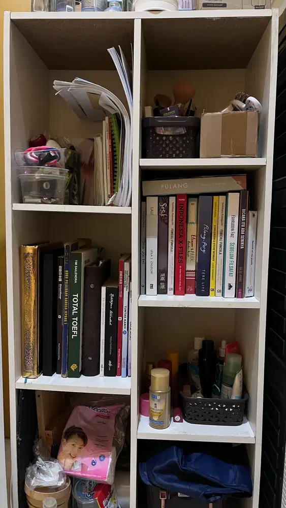 Rak Buku (Raknya aja)