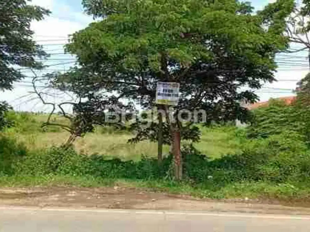 Tanah Industri Losarang Indramayu