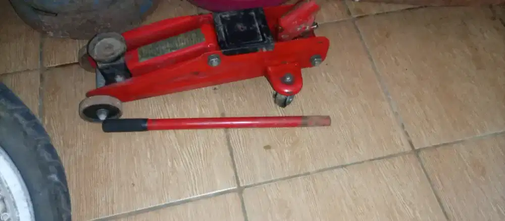 Buaya dongkrak nepis