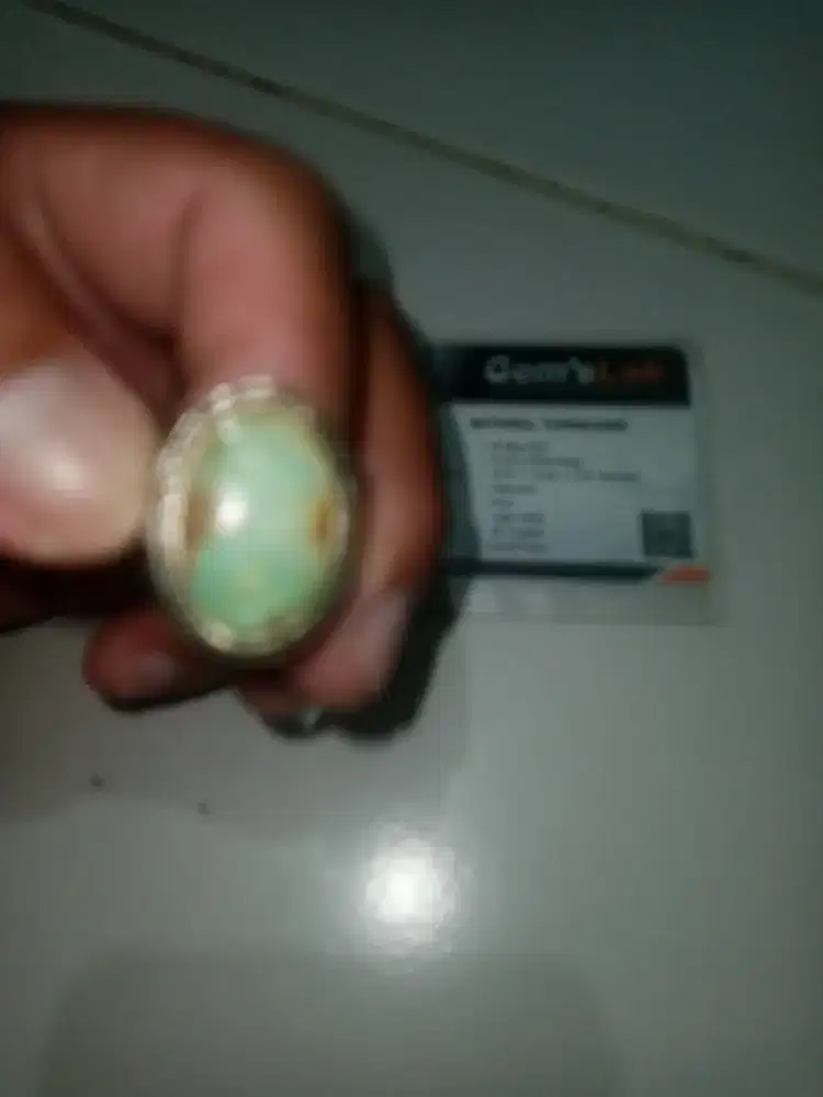 Pirus persia ring monel