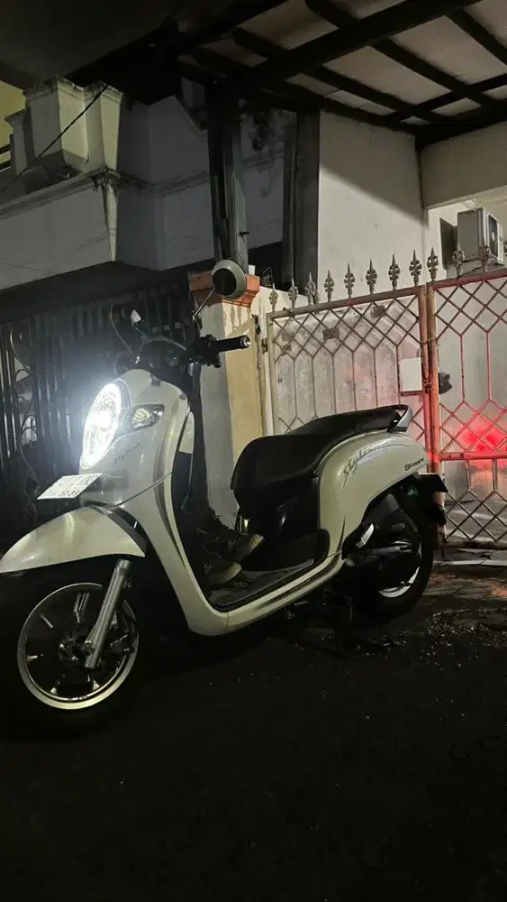 Scoopy Donat 2019