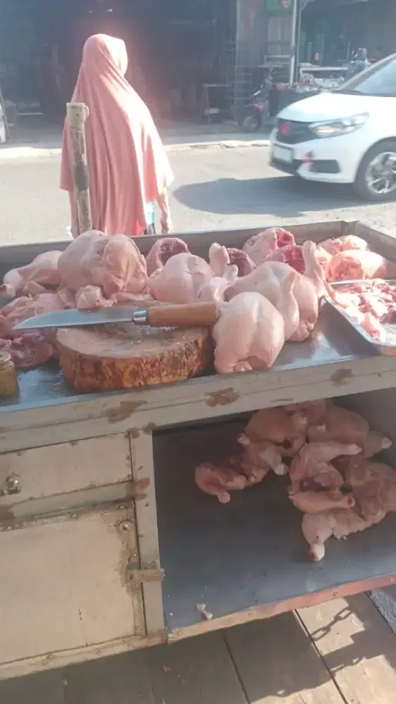 Jual ayam potong murah halal berkualitas