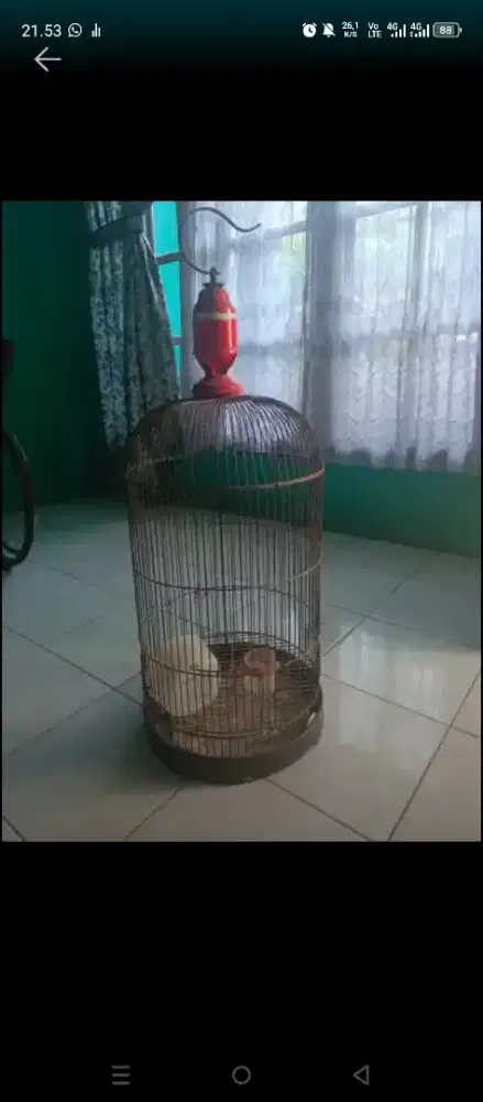 Kandang Burung bagus