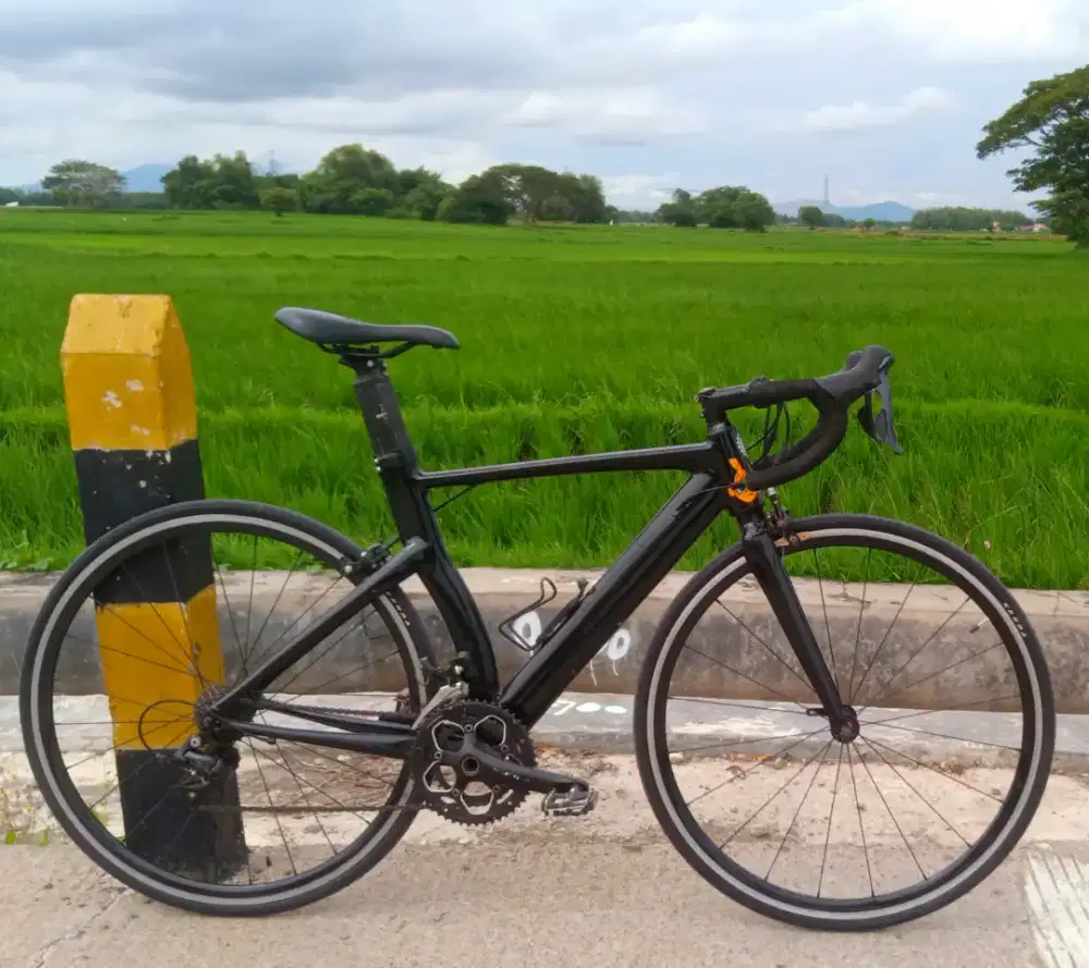 Sepeda Roadbike element frc85