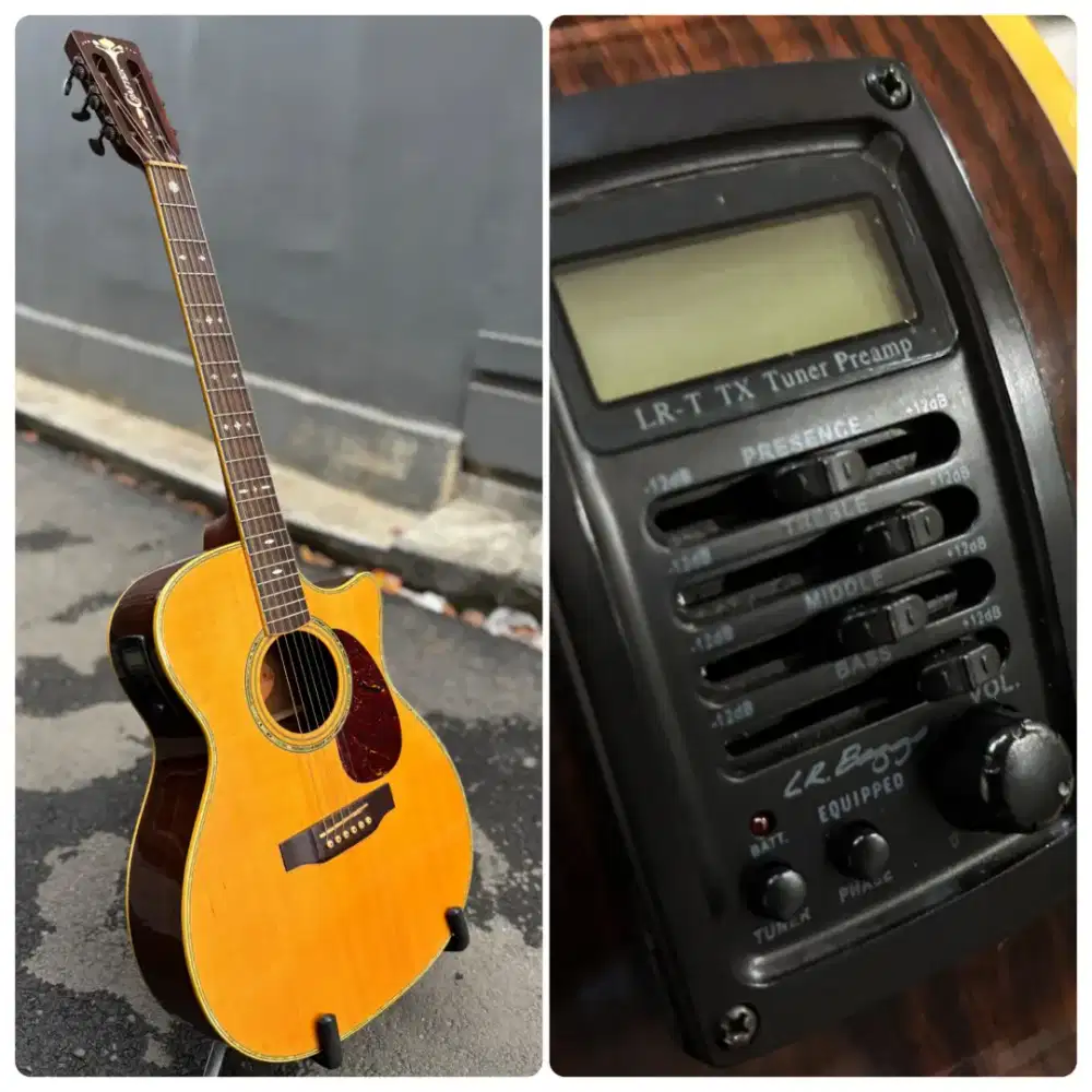 Crafter TMC 035/N (Solid Engelmann Spruce, LR Bagg Pickup)