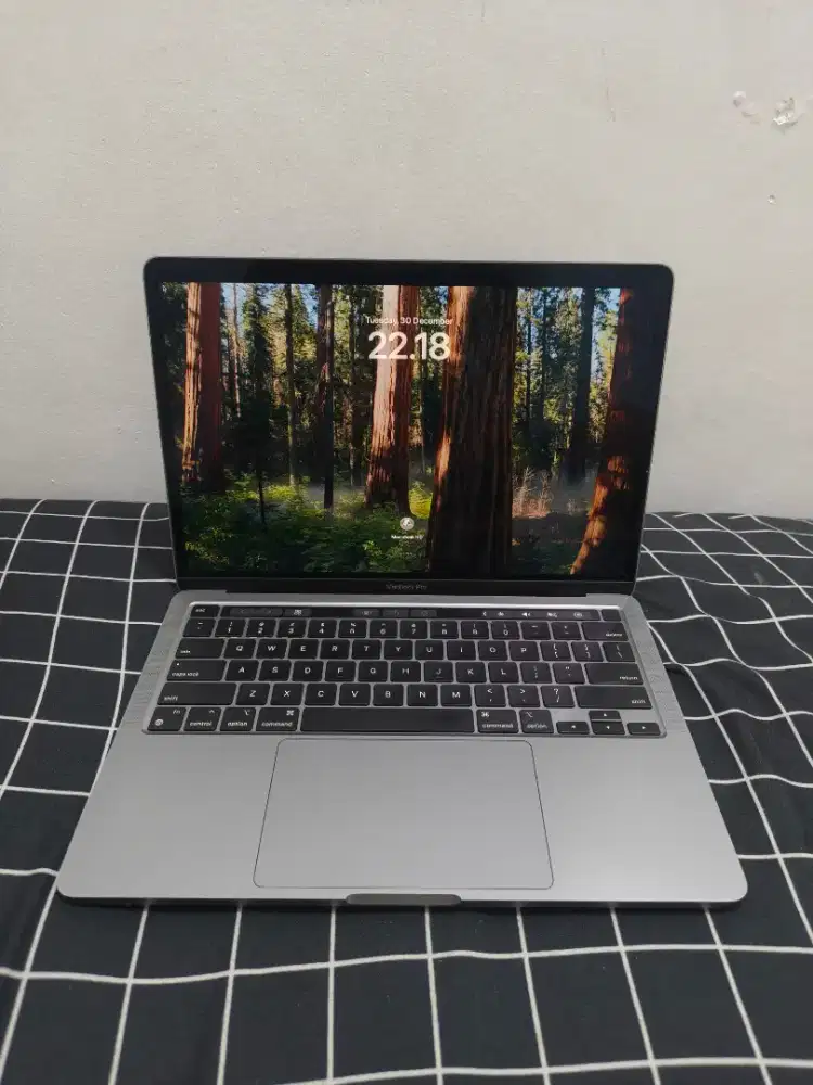 Macbook pro m1 2020 8gb/256gb
