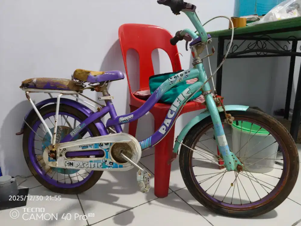Sepeda anak2 pasific warna biru