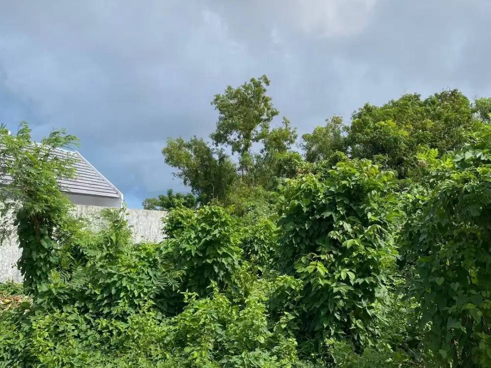 TANAH 338M² UNGASAN