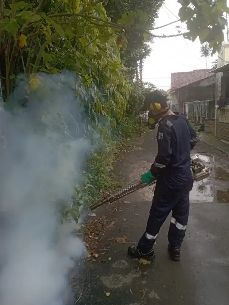 Pembasmi hama & cleaning