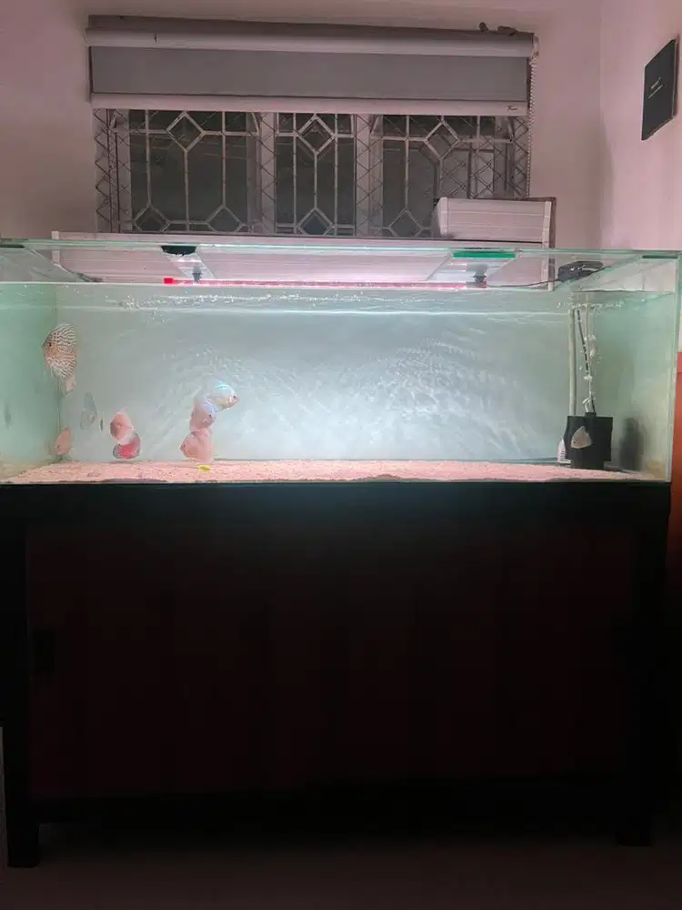 Aquarium kabinet