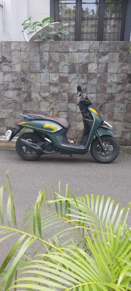 Genio CBS ISS 2024 mulus