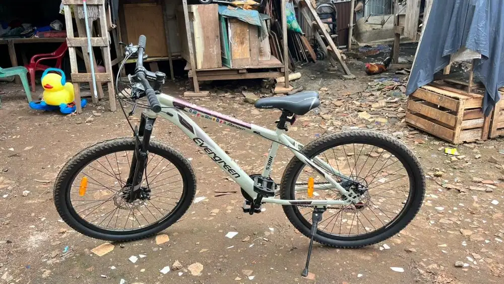 Sepeda evergreen warna cream