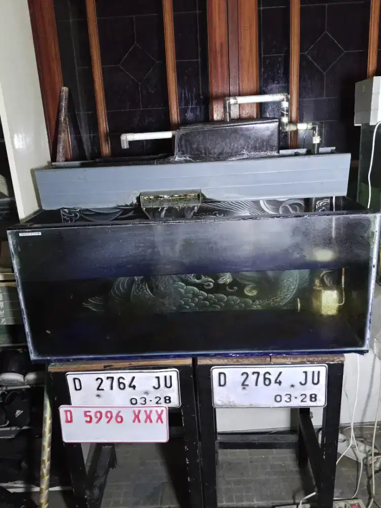 Aquarium 80cm X 35cm x 35cm Beserta isinya