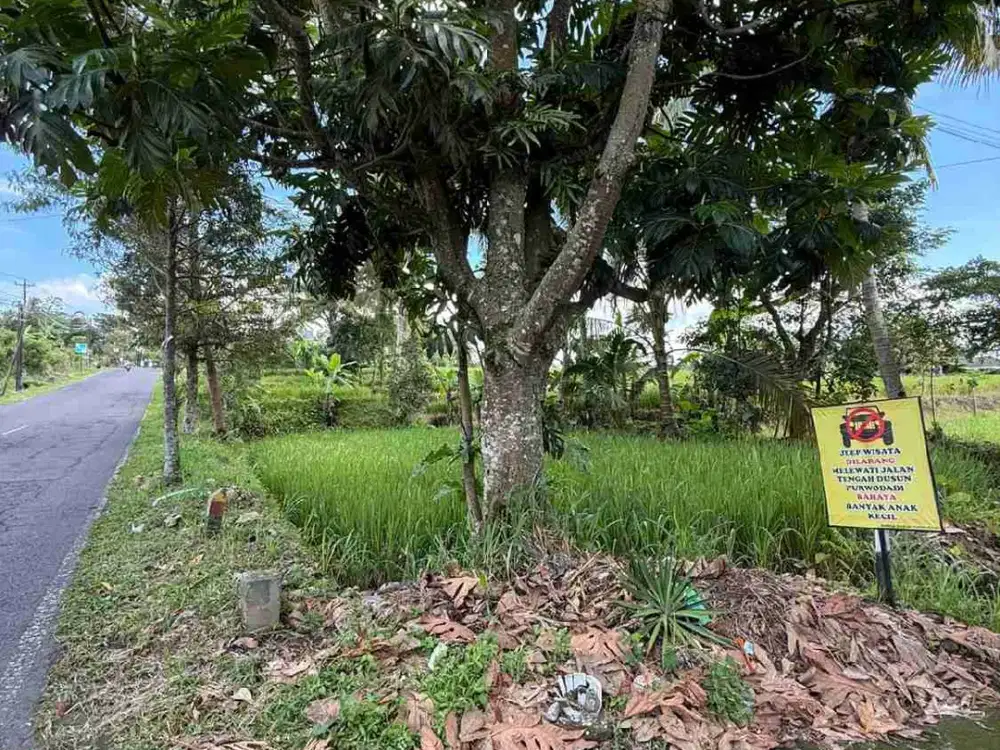 Dijual tanah sawah zona kuning pinggir jakal km 19 sleman Yogyakarta