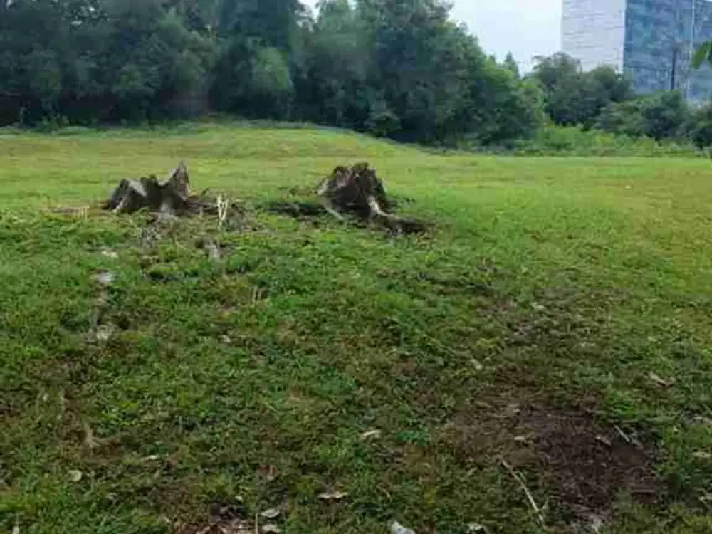 Lahan di Delta Mas Akses Mudah Potensi Investasi Tinggi di Cikarang