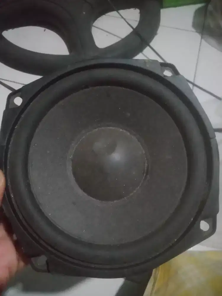 Speaker pasif 5 double magnet